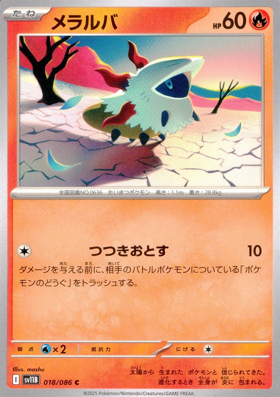 メイン商品画像