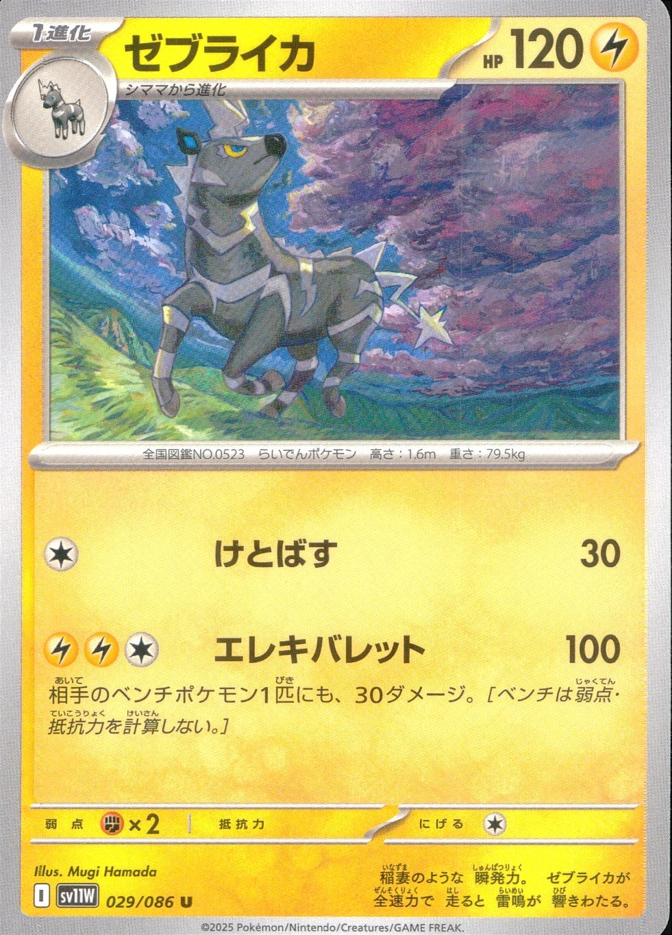 メイン商品画像