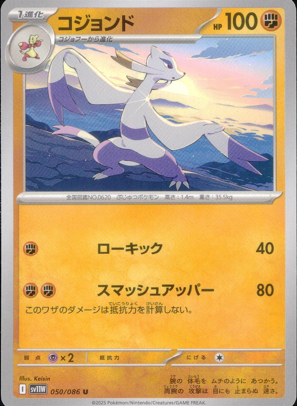 メイン商品画像