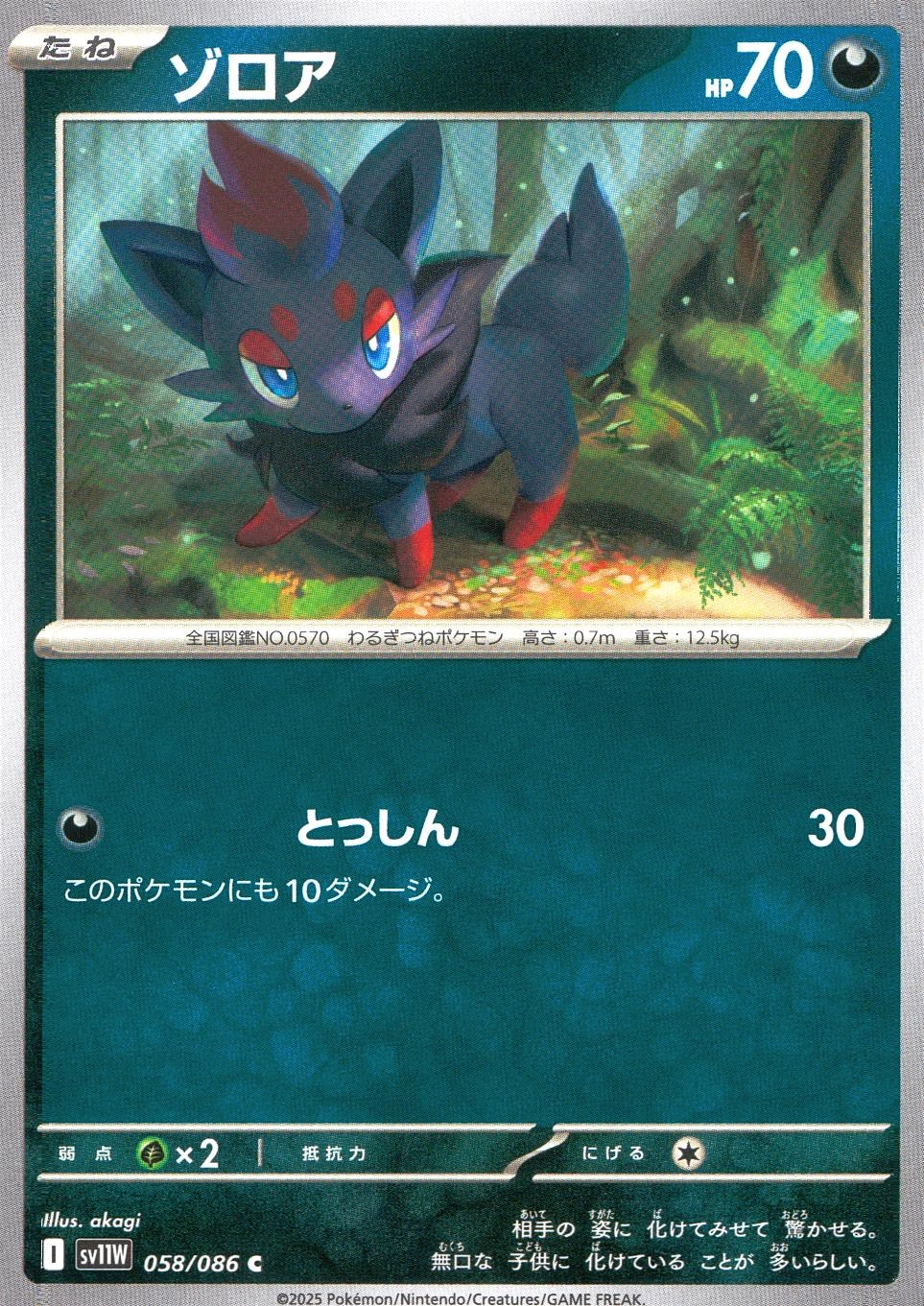 メイン商品画像