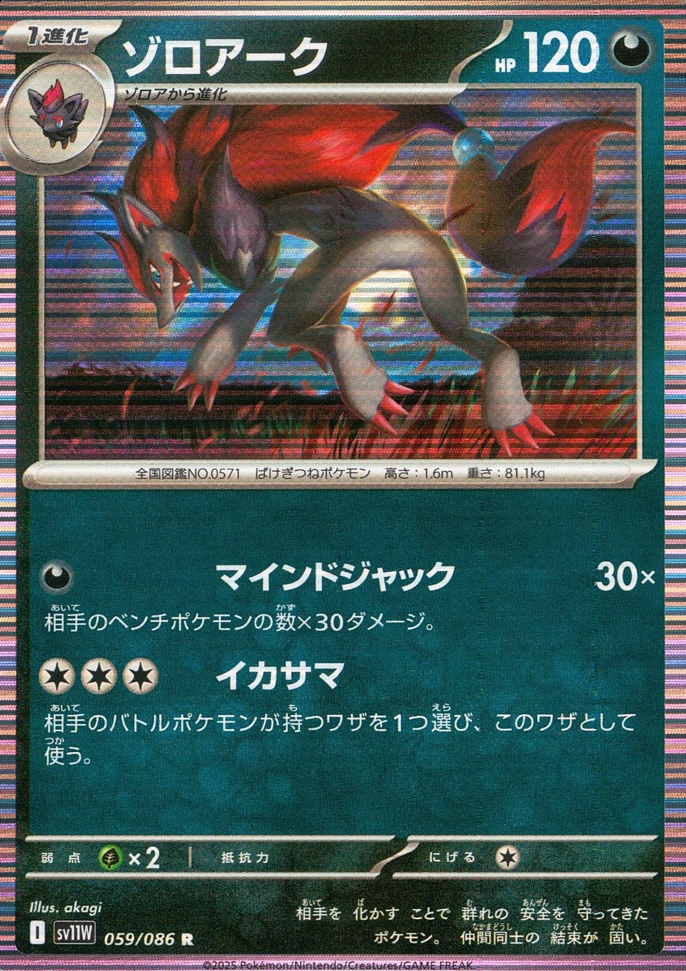 メイン商品画像