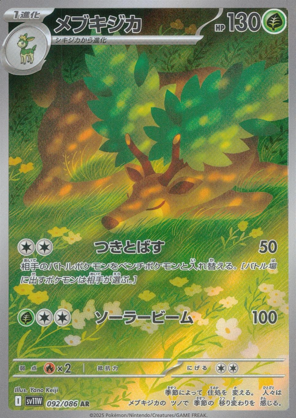 メイン商品画像