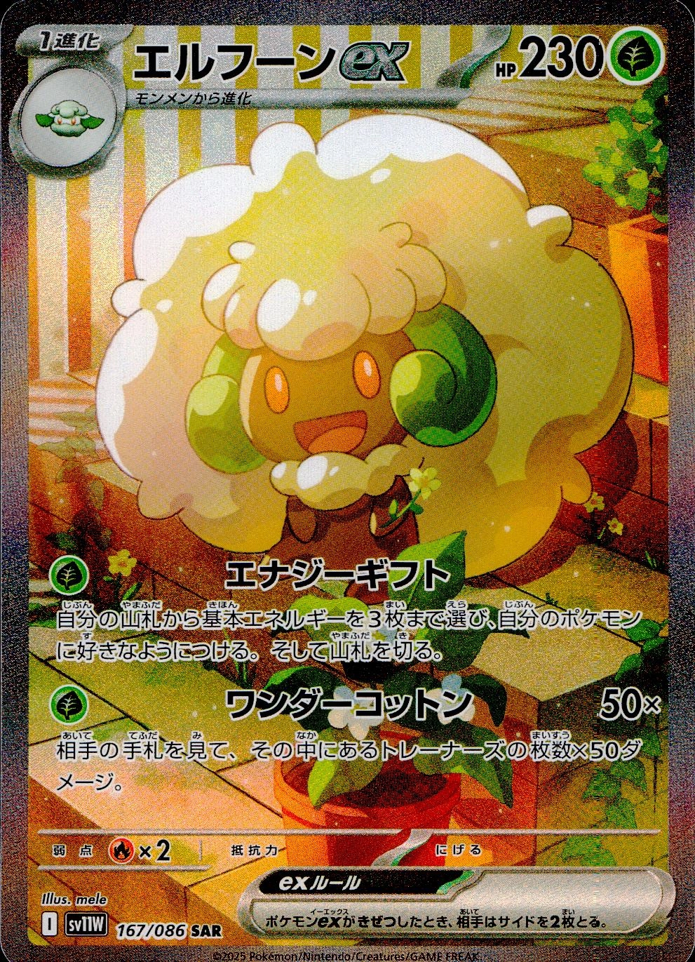 メイン商品画像