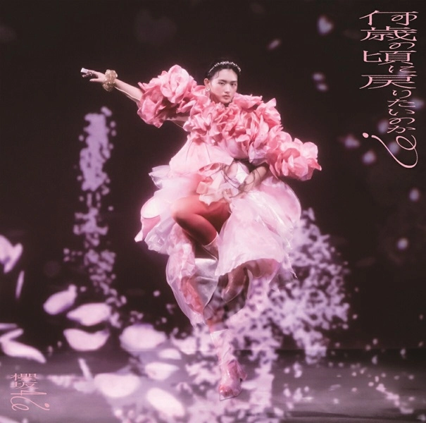 メイン商品画像