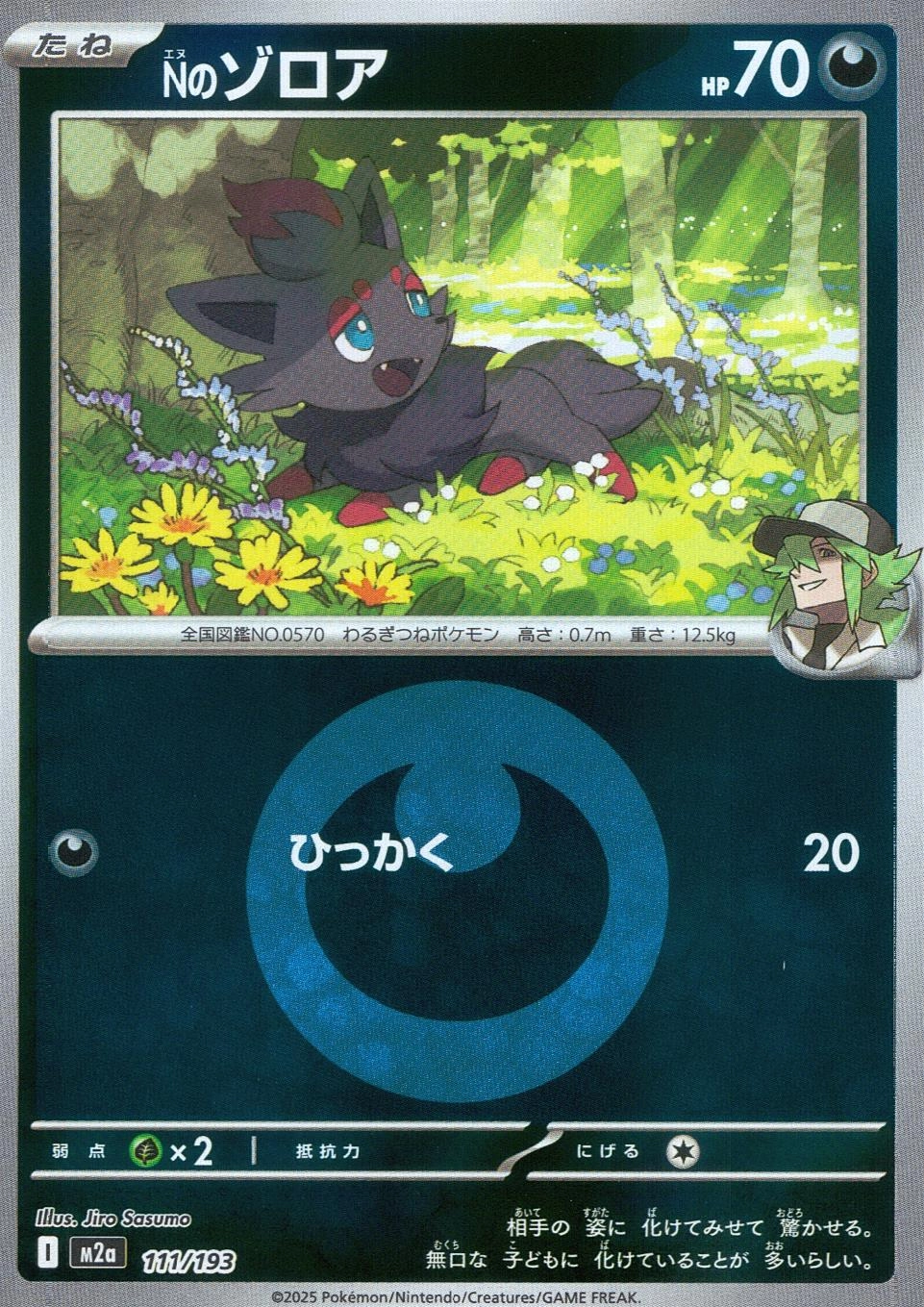 メイン商品画像