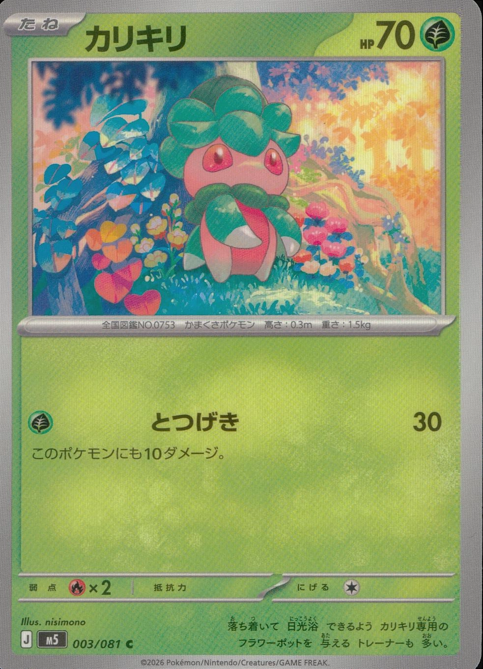 メイン商品画像
